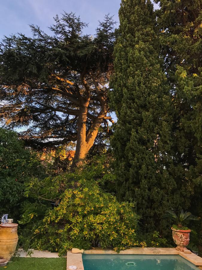 Clos Sainte Devote Κασί Εξωτερικό φωτογραφία